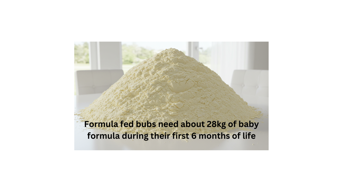 Why are so many families cautious about baby formula?