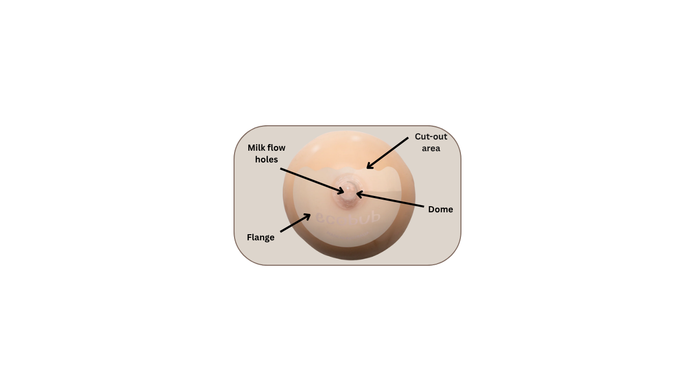 Nipple Shield Glossary: Definitions, explanations, and answers to common questions about nipple shields