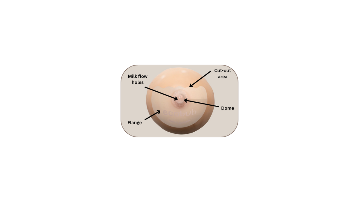 Image oif silicone breast with ecobub nipple shield on top and arrows describing each part of the shield.
